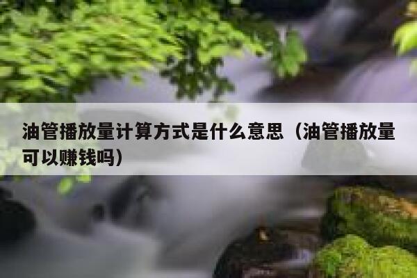 油管播放量计算方式是什么意思（油管播放量可以赚钱吗） 第1张