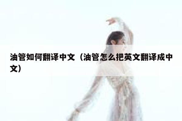 油管如何翻译中文（油管怎么把英文翻译成中文） 第1张