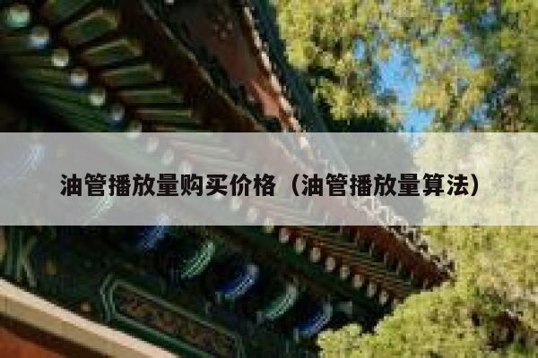 油管播放量购买价格（油管播放量算法） 第1张