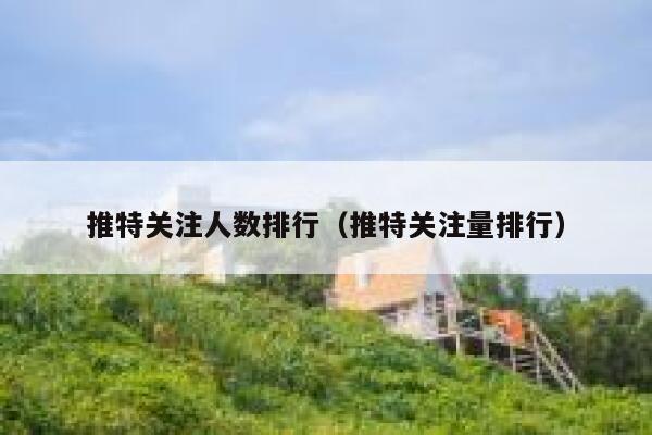 推特关注人数排行（推特关注量排行） 第1张