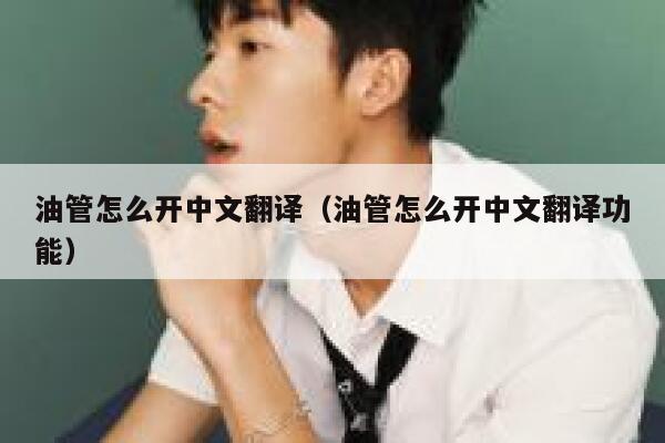 油管怎么开中文翻译（油管怎么开中文翻译功能） 第1张