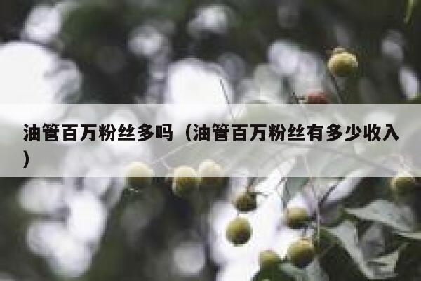 油管百万粉丝多吗（油管百万粉丝有多少收入） 第1张