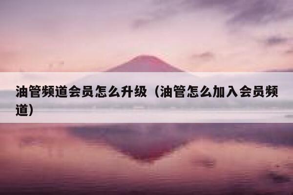 油管频道会员怎么升级（油管怎么加入会员频道） 第1张