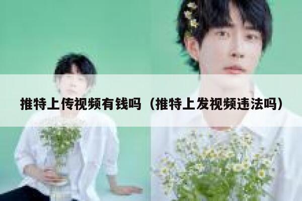 推特上传视频有钱吗（推特上发视频违法吗） 第1张