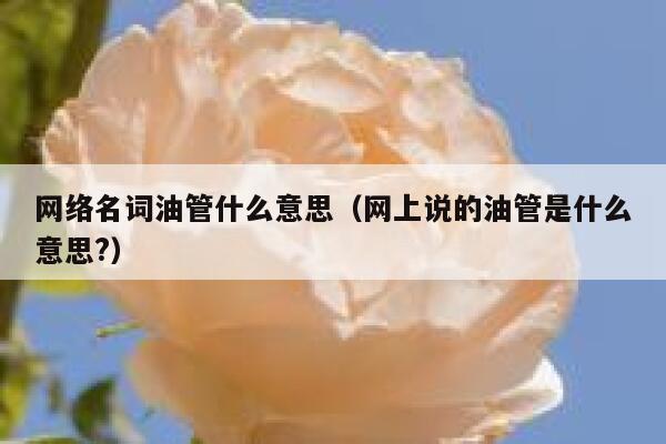网络名词油管什么意思（网上说的油管是什么意思?） 第1张