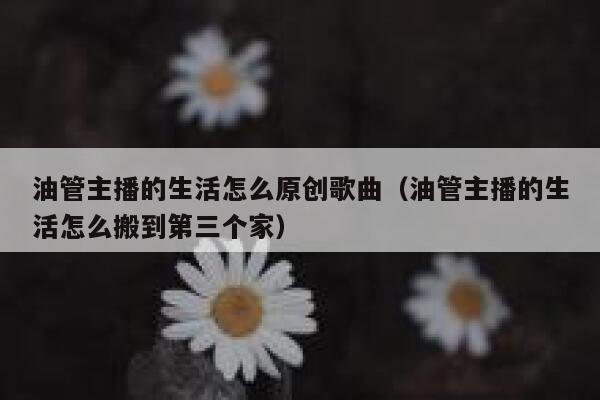 油管主播的生活怎么原创歌曲（油管主播的生活怎么搬到第三个家） 第1张