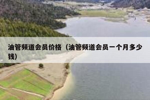 油管频道会员价格（油管频道会员一个月多少钱） 第1张