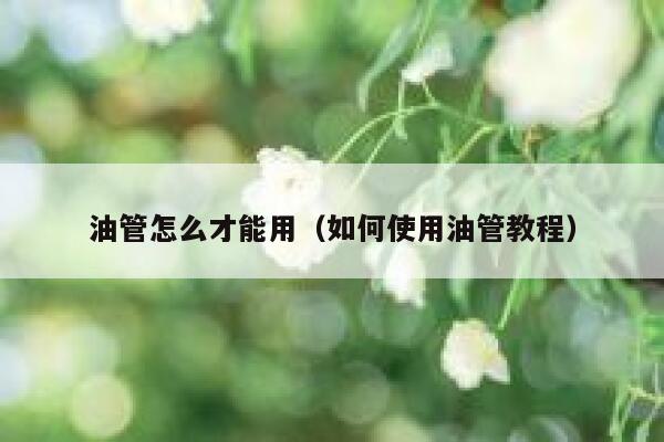 油管怎么才能用（如何使用油管教程） 第1张