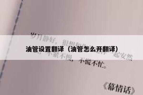 油管设置翻译（油管怎么开翻译） 第1张
