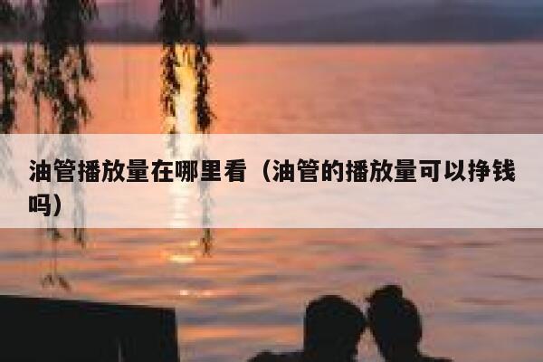 油管播放量在哪里看（油管的播放量可以挣钱吗） 第1张