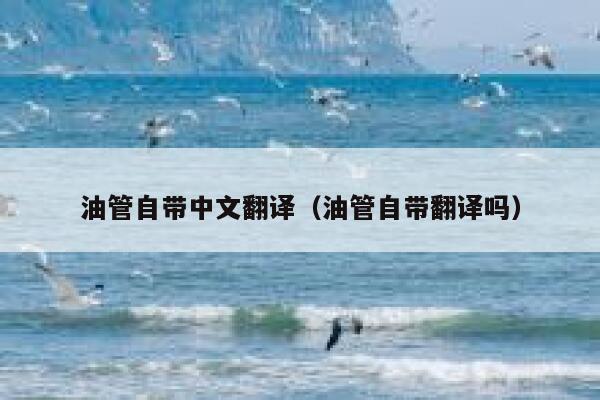 油管自带中文翻译(油管自带翻译吗) 第1张 油管自带中文翻译(油管自带翻译吗) 第1张