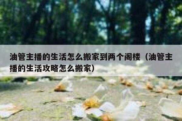 油管主播的生活怎么搬家到两个阁楼（油管主播的生活攻略怎么搬家） 第1张