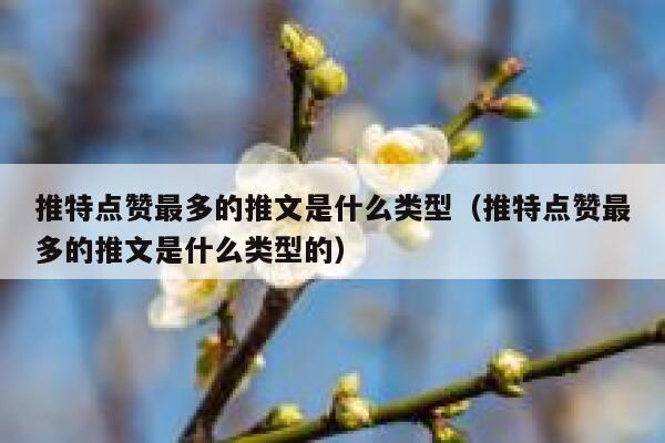 推特点赞最多的推文是什么类型（推特点赞最多的推文是什么类型的） 第1张