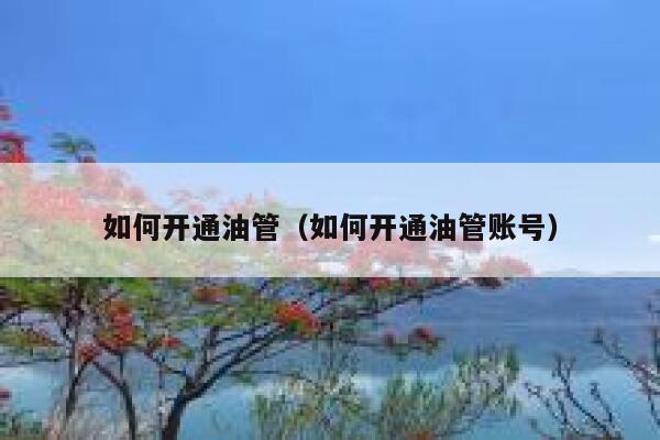 如何开通油管(如何开通油管账号) 第1张 如何开通油管(如何开通油管账号) 第1张