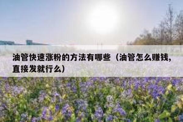 油管快速涨粉的方法有哪些（油管怎么赚钱,直接发就行么） 第1张