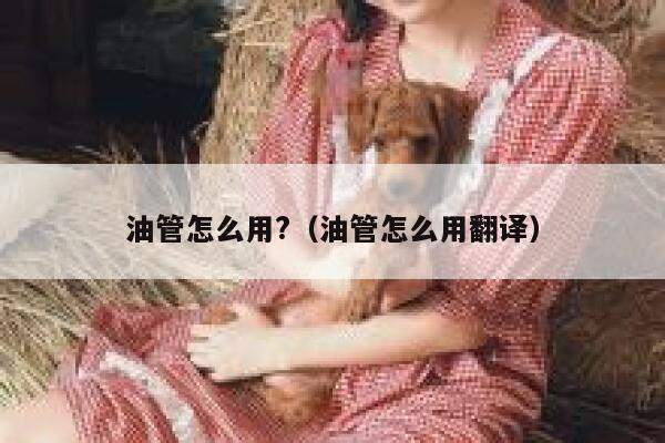 油管怎么用?(油管怎么用翻译) 第1张 油管怎么用?(油管怎么用翻译) 第1张