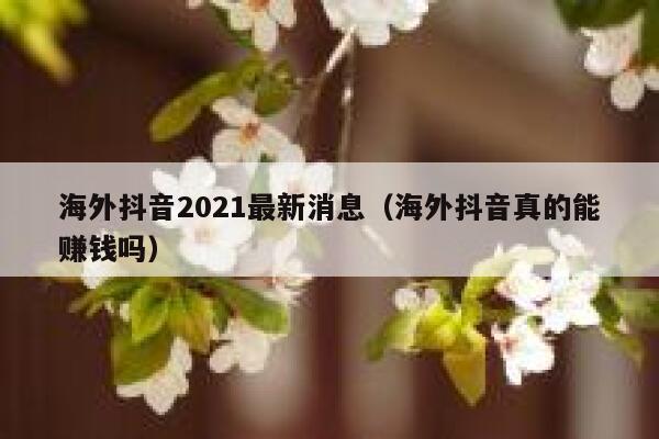 海外抖音2021最新消息（海外抖音真的能赚钱吗） 第1张