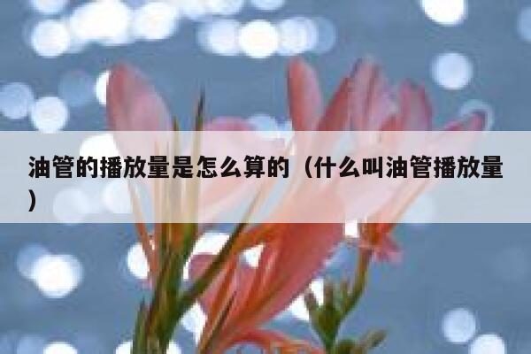 油管的播放量是怎么算的（什么叫油管播放量） 第1张