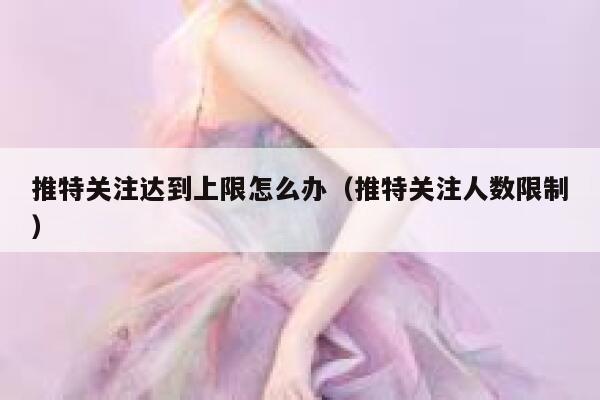 推特关注达到上限怎么办（推特关注人数限制） 第1张