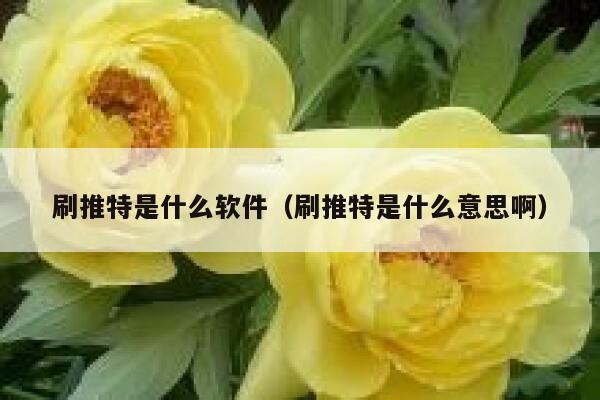 刷推特是什么软件（刷推特是什么意思啊） 第1张