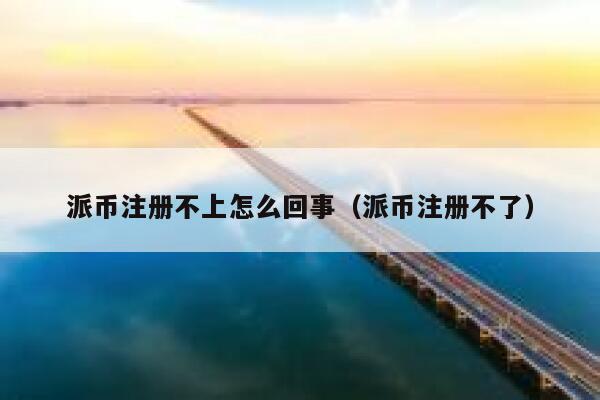 派币注册不上怎么回事（派币注册不了） 第1张