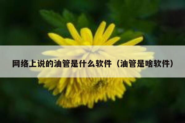 网络上说的油管是什么软件（油管是啥软件） 第1张
