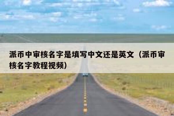 派币中审核名字是填写中文还是英文（派币审核名字教程视频） 第1张