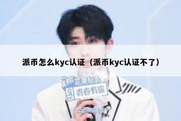 派币怎么kyc认证（派币kyc认证不了） 第1张