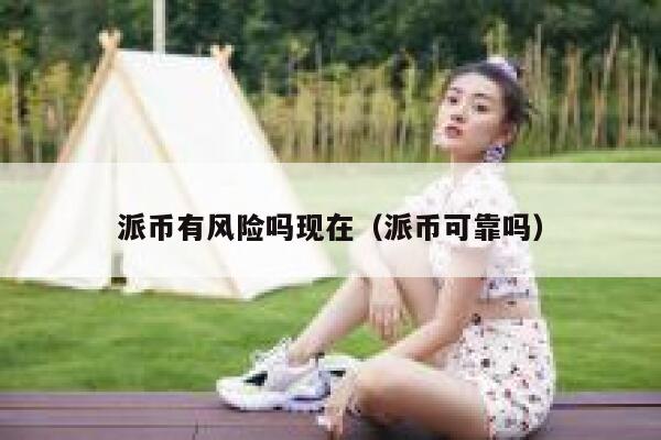 派币有风险吗现在（派币可靠吗） 第1张