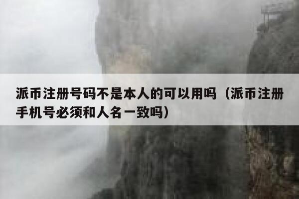 派币注册号码不是本人的可以用吗（派币注册手机号必须和人名一致吗） 第1张