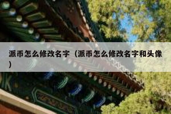 派币怎么修改名字（派币怎么修改名字和头像） 第1张