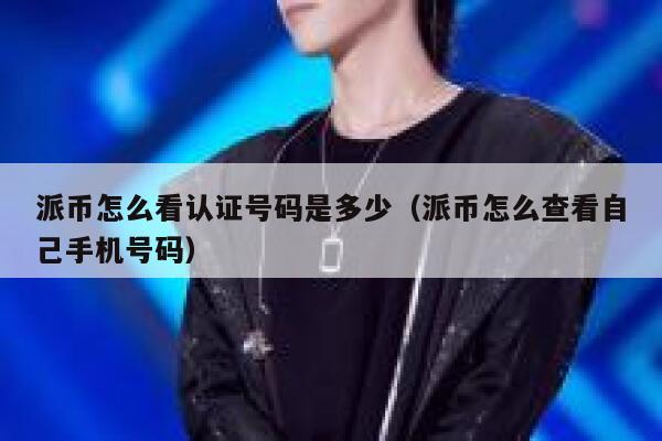 派币怎么看认证号码是多少（派币怎么查看自己手机号码） 第1张