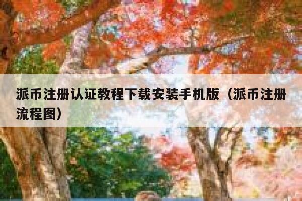 派币注册认证教程下载安装手机版（派币注册流程图） 第1张