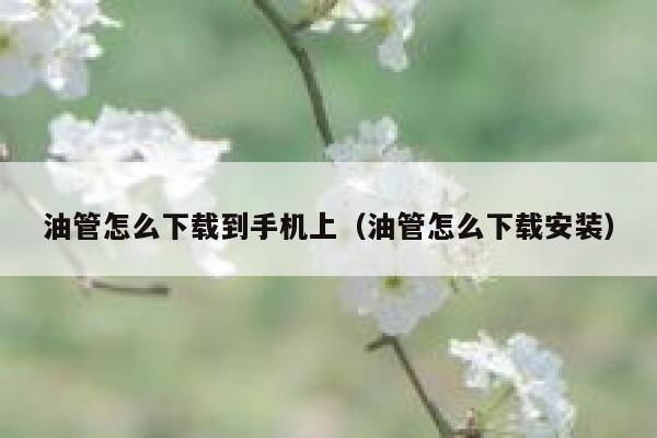 油管怎么下载到手机上（油管怎么下载安装） 第1张