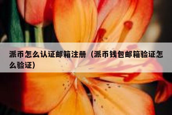 派币怎么认证邮箱注册（派币钱包邮箱验证怎么验证） 第1张