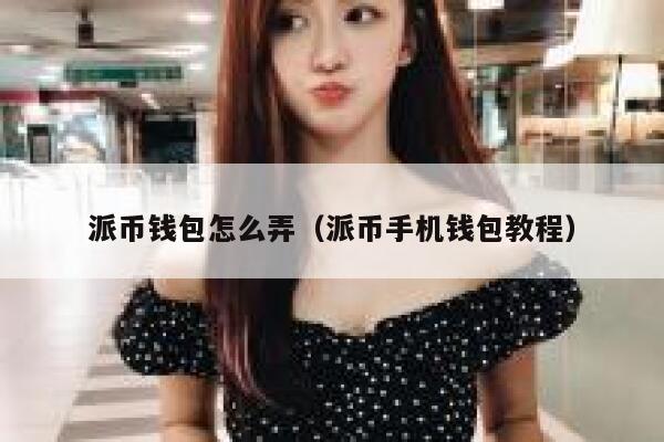 派币钱包怎么弄（派币手机钱包教程） 第1张