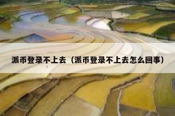 派币登录不上去（派币登录不上去怎么回事） 第1张