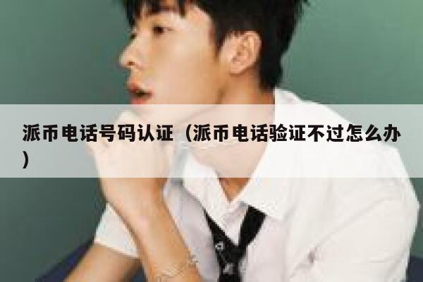 派币电话号码认证(派币电话验证不过怎么办) 第1张 派币电话号码认证(派币电话验证不过怎么办) 第1张