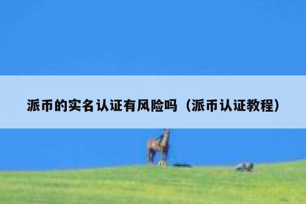 派币的实名认证有风险吗(派币认证教程) 第1张 派币的实名认证有风险吗(派币认证教程) 第1张