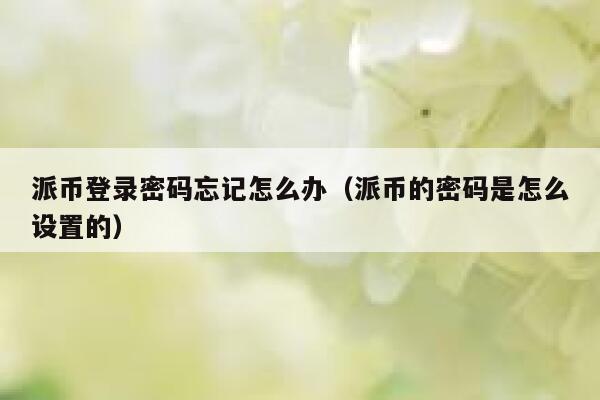 派币登录密码忘记怎么办（派币的密码是怎么设置的） 第1张