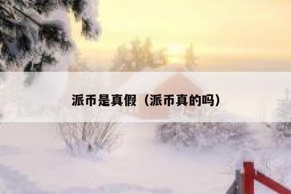 派币是真假(派币真的吗) 第1张 派币是真假(派币真的吗) 第1张