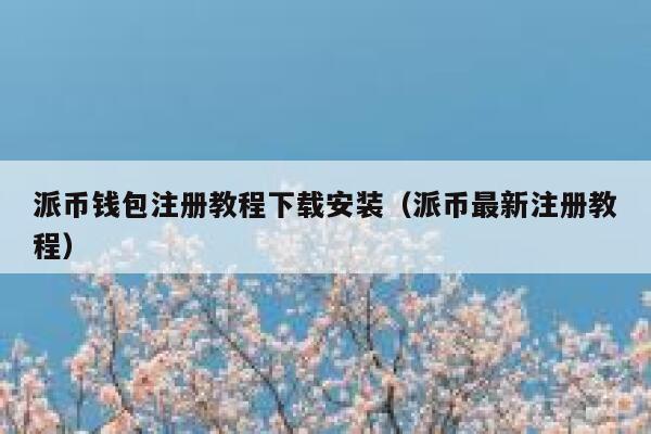 派币钱包注册教程下载安装（派币最新注册教程） 第1张
