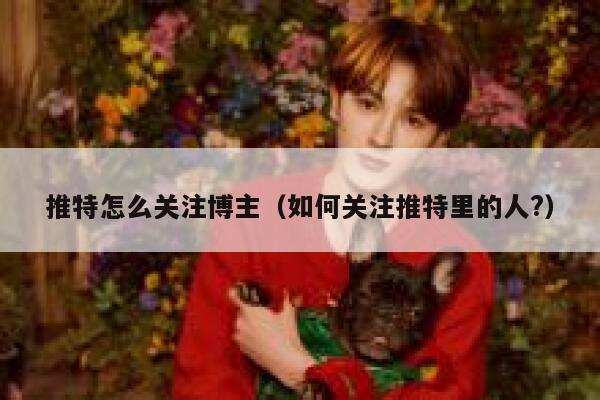 推特怎么关注博主（如何关注推特里的人?） 第1张