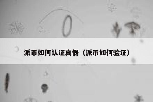 派币如何认证真假(派币如何验证) 第1张 派币如何认证真假(派币如何验证) 第1张