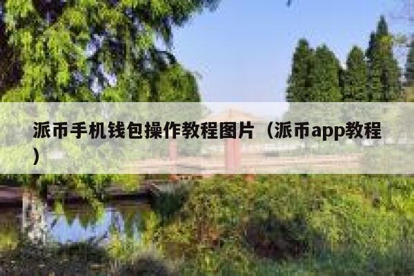 派币手机钱包操作教程图片（派币app教程） 第1张