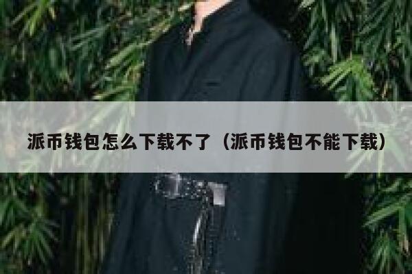 派币钱包怎么下载不了(派币钱包不能下载) 第1张 派币钱包怎么下载不了(派币钱包不能下载) 第1张