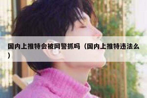 国内上推特会被网警抓吗(国内上推特违法么) 第1张 国内上推特会被网警抓吗(国内上推特违法么) 第1张