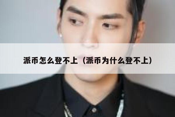 派币怎么登不上（派币为什么登不上） 第1张