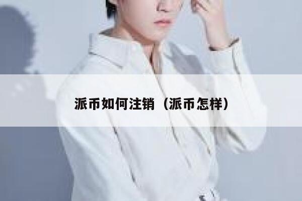 派币如何注销（派币怎样） 第1张