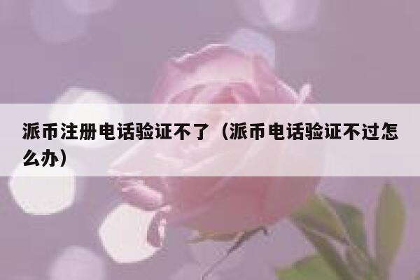 派币注册电话验证不了（派币电话验证不过怎么办） 第1张